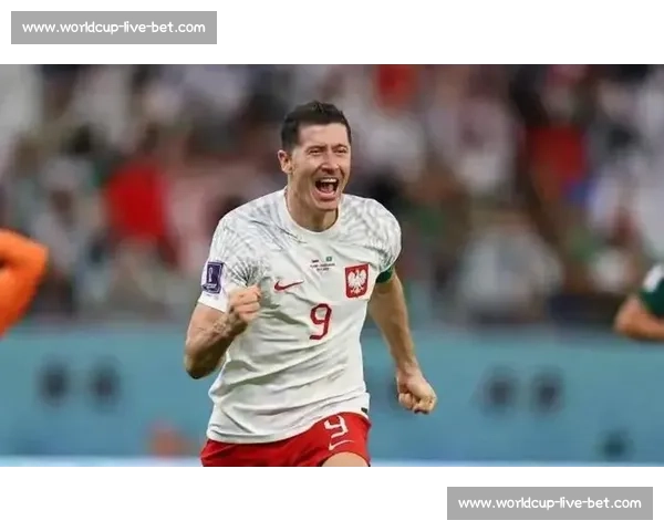 波兰队魂！莱万2026世界杯，不屈的意志